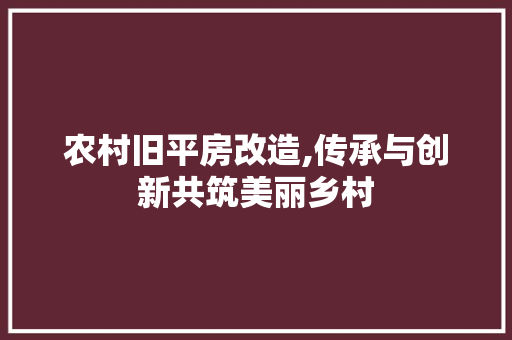 农村旧平房改造,传承与创新共筑美丽乡村 地面装修