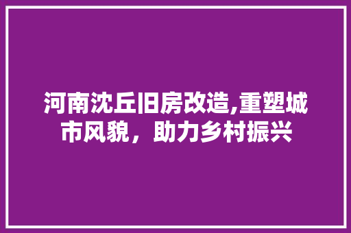 河南沈丘旧房改造,重塑城市风貌，助力乡村振兴
