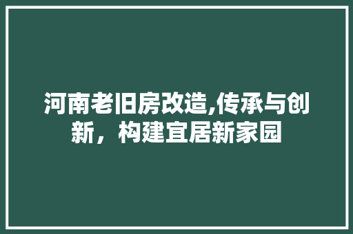 河南老旧房改造,传承与创新，构建宜居新家园 建筑设计