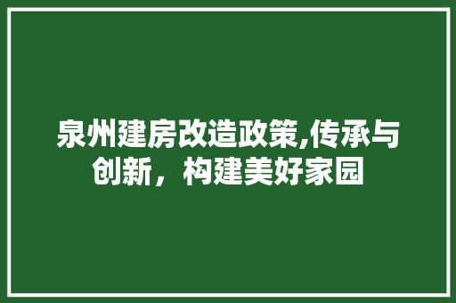 泉州建房改造政策,传承与创新，构建美好家园 装修材料