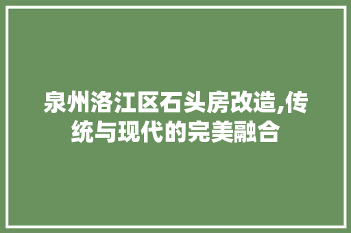 泉州洛江区石头房改造,传统与现代的完美融合 墙面装饰
