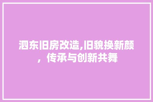泗东旧房改造,旧貌换新颜，传承与创新共舞 景观设计