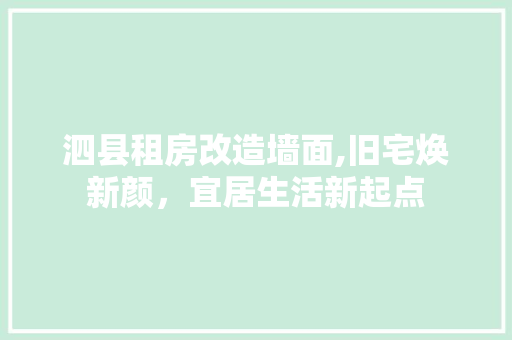 泗县租房改造墙面,旧宅焕新颜，宜居生活新起点
