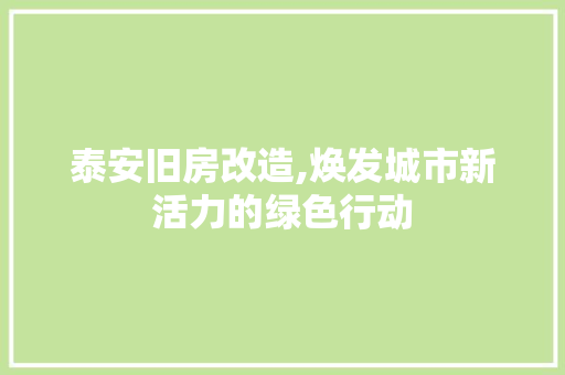 泰安旧房改造,焕发城市新活力的绿色行动