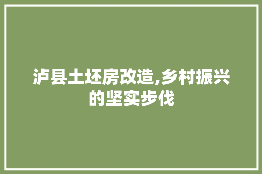 泸县土坯房改造,乡村振兴的坚实步伐 地面装修