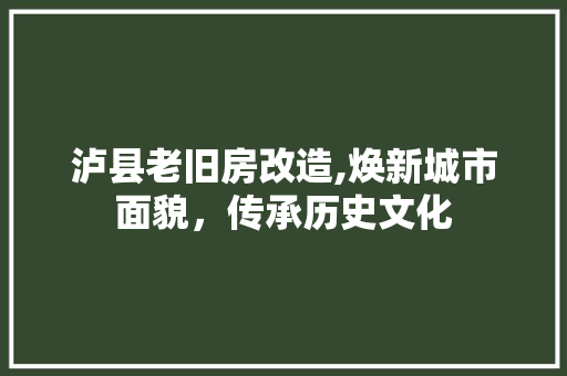 泸县老旧房改造,焕新城市面貌，传承历史文化