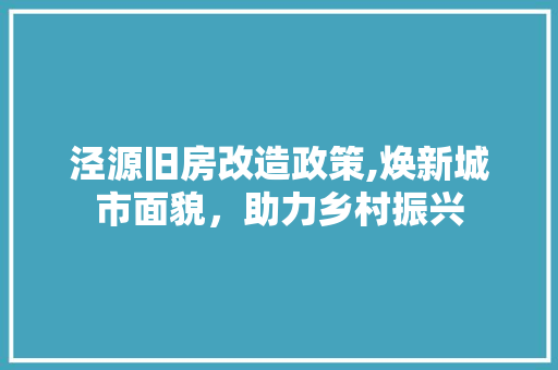 泾源旧房改造政策,焕新城市面貌，助力乡村振兴 地面装修