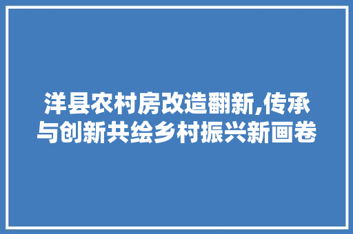 洋县农村房改造翻新,传承与创新共绘乡村振兴新画卷
