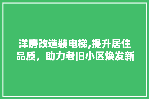 洋房改造装电梯,提升居住品质，助力老旧小区焕发新活力
