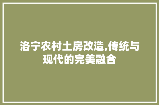 洛宁农村土房改造,传统与现代的完美融合 门窗装修