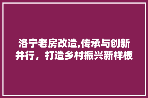 洛宁老房改造,传承与创新并行，打造乡村振兴新样板