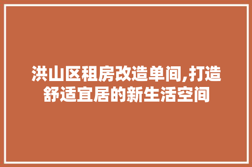 洪山区租房改造单间,打造舒适宜居的新生活空间
