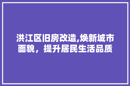 洪江区旧房改造,焕新城市面貌，提升居民生活品质 建筑设计