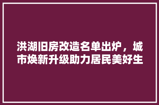 洪湖旧房改造名单出炉，城市焕新升级助力居民美好生活 墙面装饰