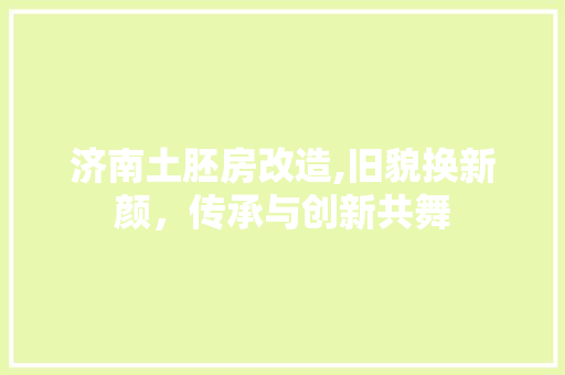 济南土胚房改造,旧貌换新颜，传承与创新共舞 庭院装修