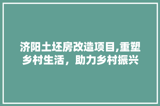 济阳土坯房改造项目,重塑乡村生活，助力乡村振兴