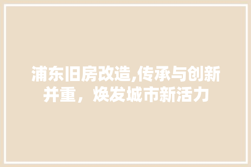 浦东旧房改造,传承与创新并重，焕发城市新活力 墙面装饰
