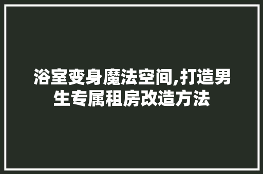 浴室变身魔法空间,打造男生专属租房改造方法