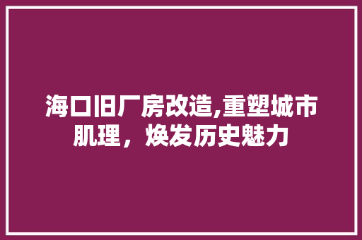 海口旧厂房改造,重塑城市肌理，焕发历史魅力