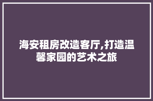 海安租房改造客厅,打造温馨家园的艺术之旅 装修攻略