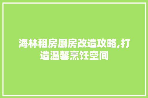 海林租房厨房改造攻略,打造温馨烹饪空间