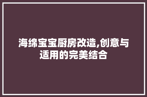海绵宝宝厨房改造,创意与适用的完美结合