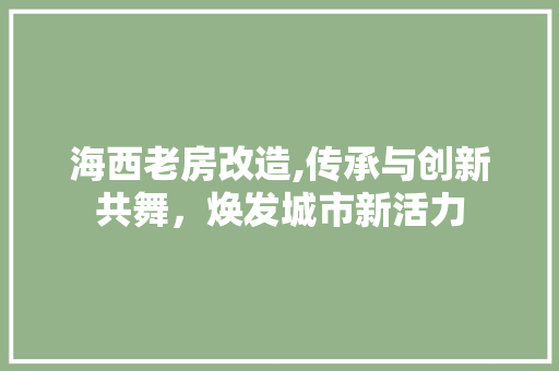 海西老房改造,传承与创新共舞，焕发城市新活力