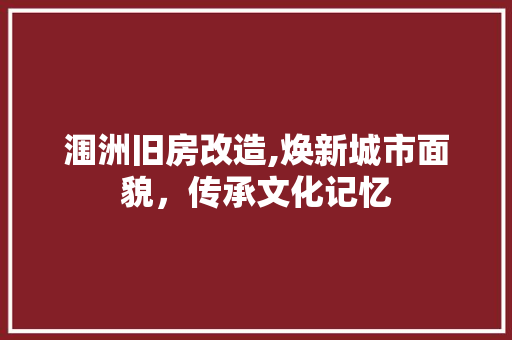 涠洲旧房改造,焕新城市面貌，传承文化记忆 墙面装饰