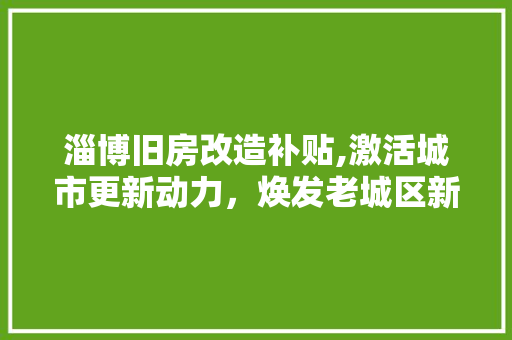 淄博旧房改造补贴,激活城市更新动力,焕发老城区新活力 地面装修 淄博旧房改造补贴,激活城市更新动力,焕发老城区新活力 地面装修