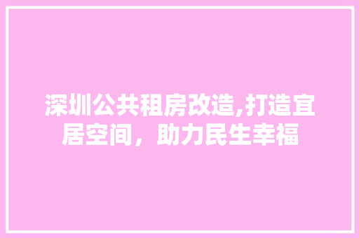 深圳公共租房改造,打造宜居空间，助力民生幸福