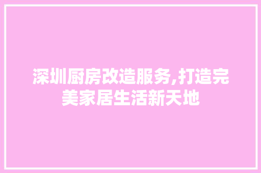 深圳厨房改造服务,打造完美家居生活新天地