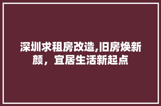 深圳求租房改造,旧房焕新颜，宜居生活新起点
