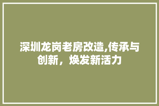 深圳龙岗老房改造,传承与创新，焕发新活力