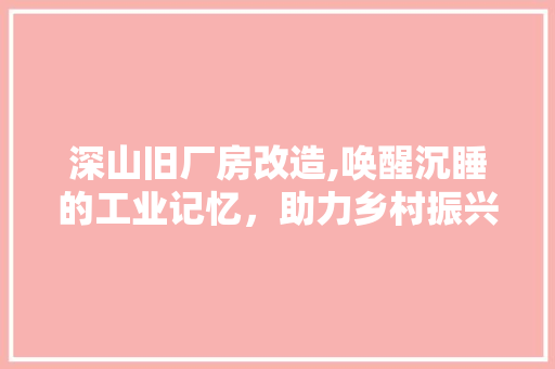 深山旧厂房改造,唤醒沉睡的工业记忆，助力乡村振兴