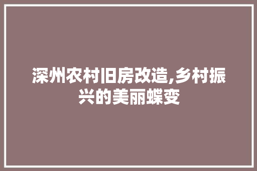 深州农村旧房改造,乡村振兴的美丽蝶变 建筑设计