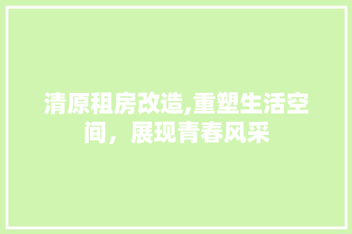 清原租房改造,重塑生活空间，展现青春风采
