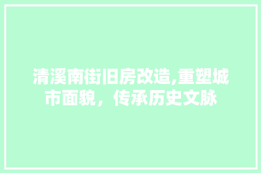 清溪南街旧房改造,重塑城市面貌，传承历史文脉 庭院装修