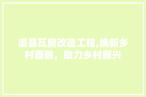 渠县瓦房改造工程,焕新乡村面貌，助力乡村振兴