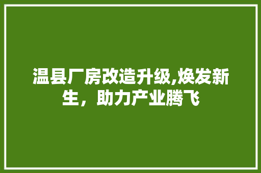 温县厂房改造升级,焕发新生，助力产业腾飞 隔断设计