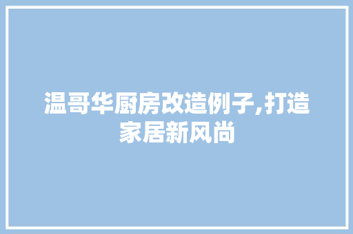 温哥华厨房改造例子,打造家居新风尚