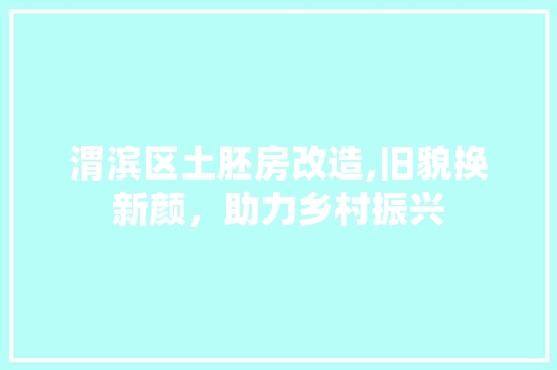 渭滨区土胚房改造,旧貌换新颜，助力乡村振兴 庭院装修