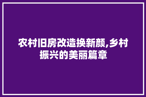 农村旧房改造换新颜,乡村振兴的美丽篇章 墙面装饰