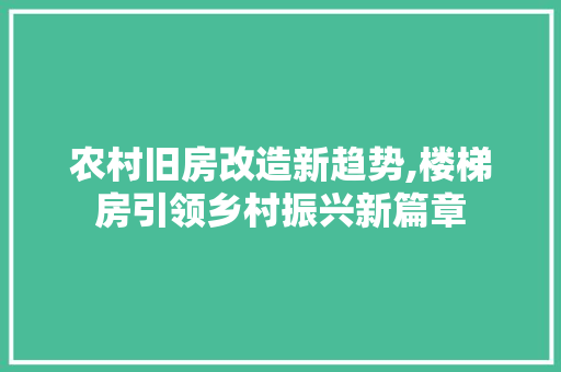 农村旧房改造新趋势,楼梯房引领乡村振兴新篇章