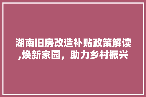湖南旧房改造补贴政策解读,焕新家园，助力乡村振兴