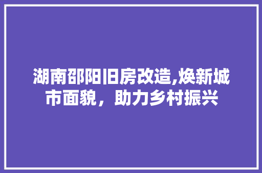 湖南邵阳旧房改造,焕新城市面貌，助力乡村振兴