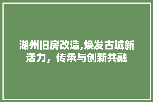 湖州旧房改造,焕发古城新活力，传承与创新共融 地面装修