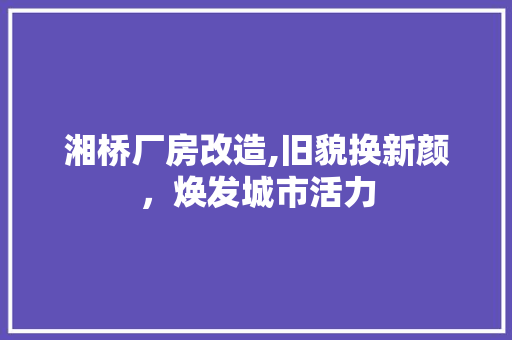 湘桥厂房改造,旧貌换新颜，焕发城市活力 墙面装饰