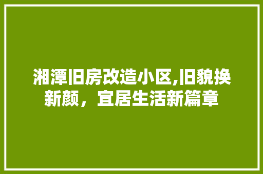 湘潭旧房改造小区,旧貌换新颜，宜居生活新篇章 庭院装修