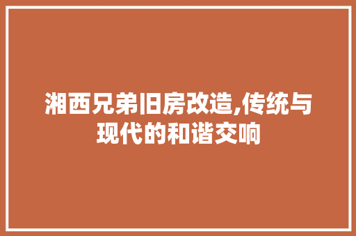 湘西兄弟旧房改造,传统与现代的和谐交响 隔断设计