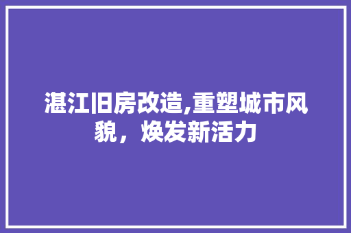 湛江旧房改造,重塑城市风貌，焕发新活力
